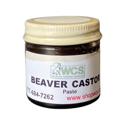 BEaver Castor Lure