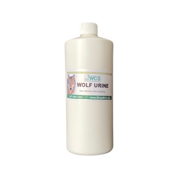 Large Wolf Urine