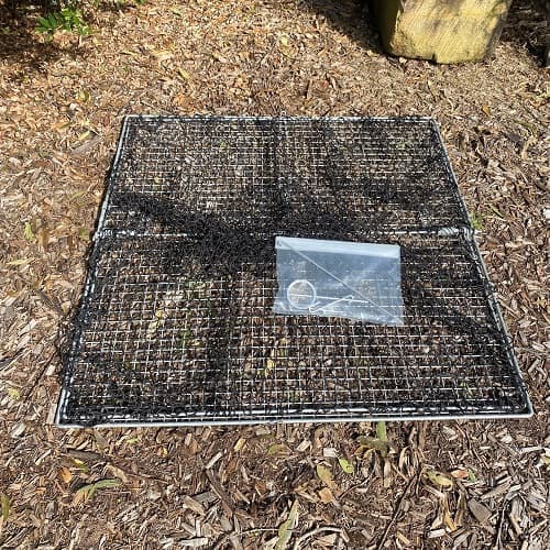 Large Bird Net trap in bush scenary
