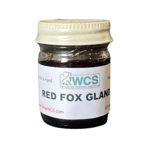 red Fox gland Lure