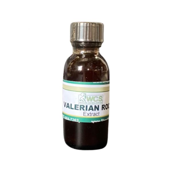 Valerian Root Extract Oil