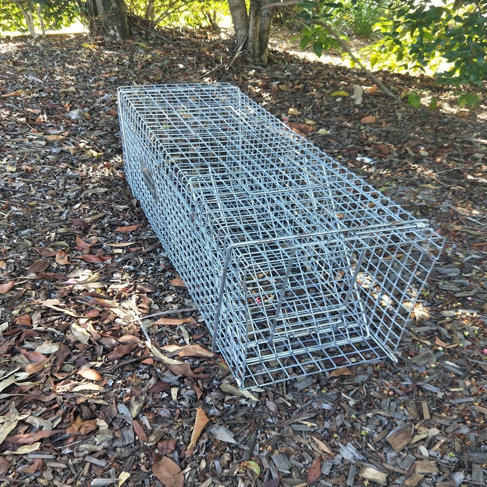 https://traps.com.au/wp-content/uploads/2021/09/Collapsible-Cat-trap-2-.jpg