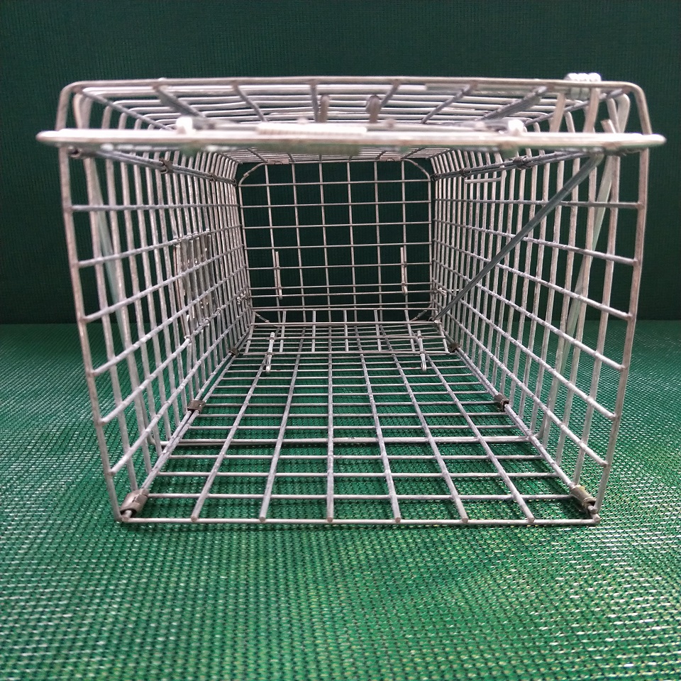 Collapsible Northern quoll Trap