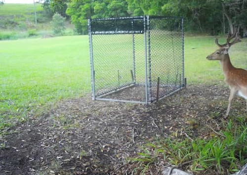 Deer Hunting Products - Professional Trapping Supplies